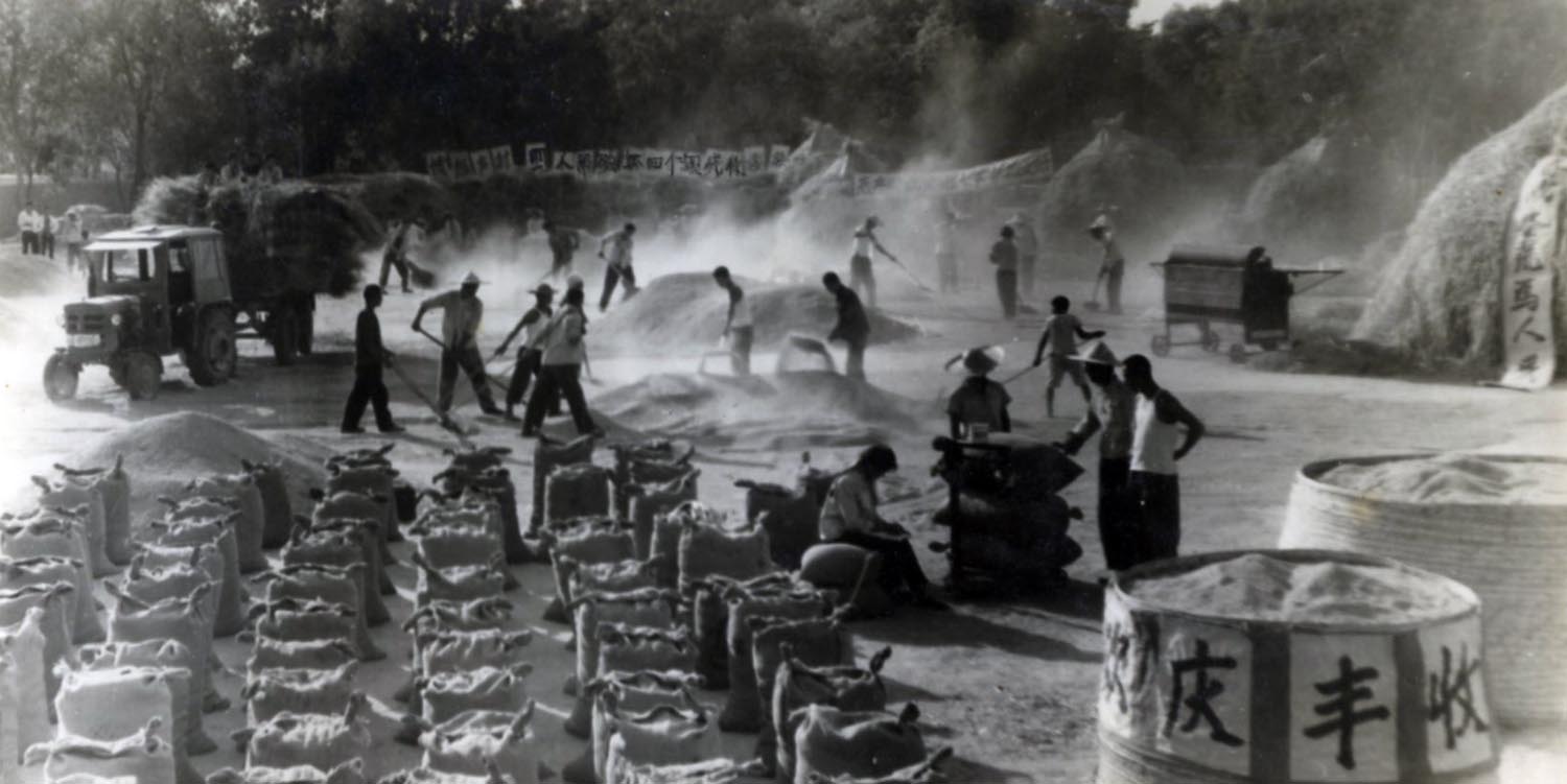 3.这是上世纪70年代我在农村拍摄的丰收场面的照片.jpg 3.这是上世纪70年代我在农村拍摄的丰收场面的照片.jpg