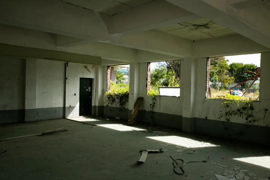 62.jpg