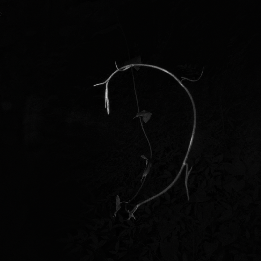 57.png
